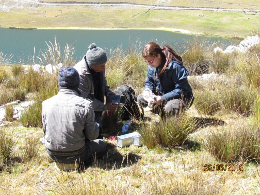 WhatsApp Image 2023-04-06 at 4.23.03 PM (6)